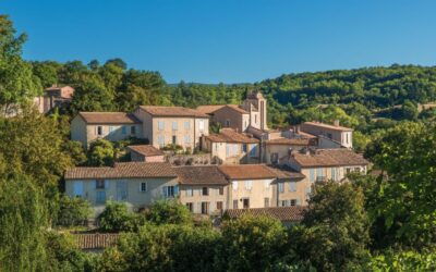 Making Your Voice Heard: A Resident’s Guide to the Town Hall of Massaguel – Tarn Info Complaints Process